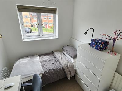 Picture 27